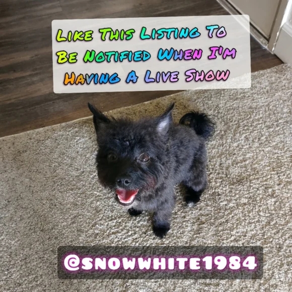 Live Show Notification - Picture 2 of 7